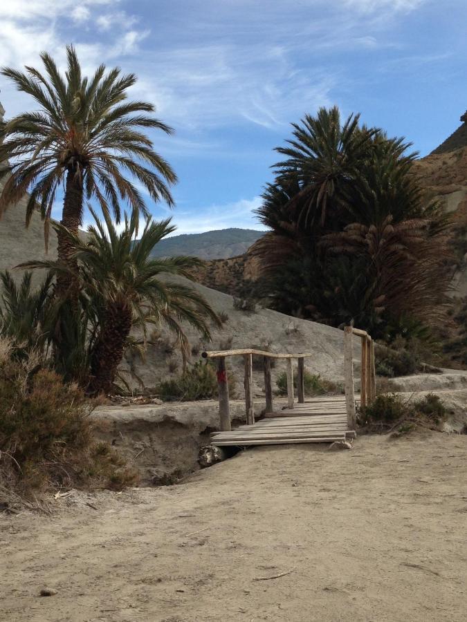 Hostal Avenida Tabernas Εξωτερικό φωτογραφία